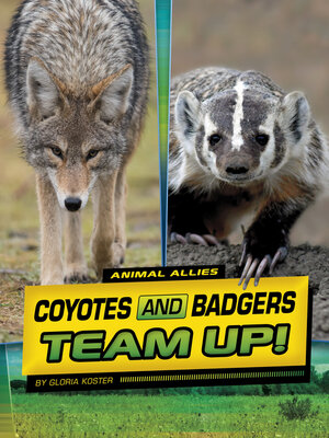 cover image of Coyotes and Badgers Team Up!